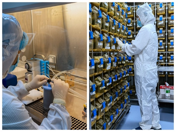 betway西汉姆联官网