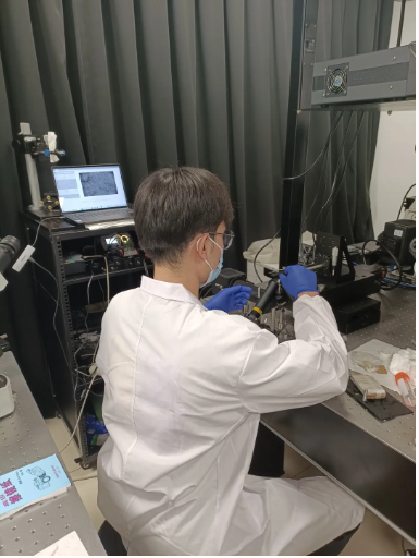 betway西汉姆联官网