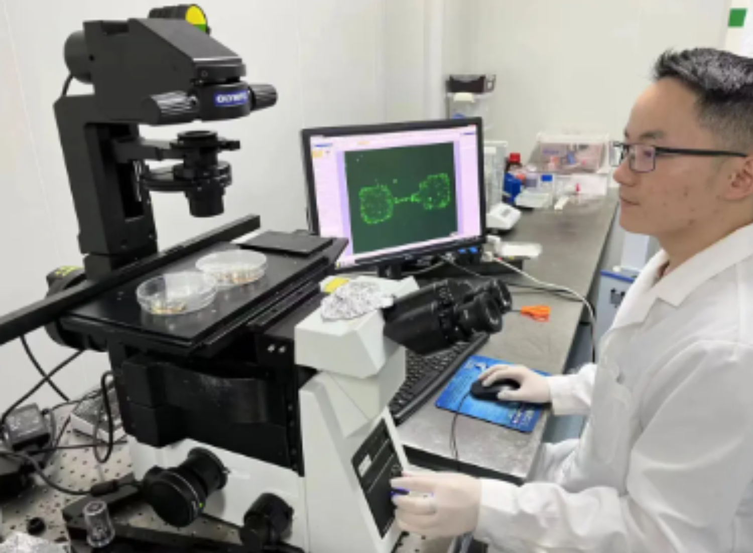 betway西汉姆联官网