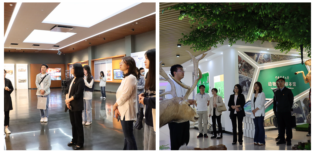 betway西汉姆联官网