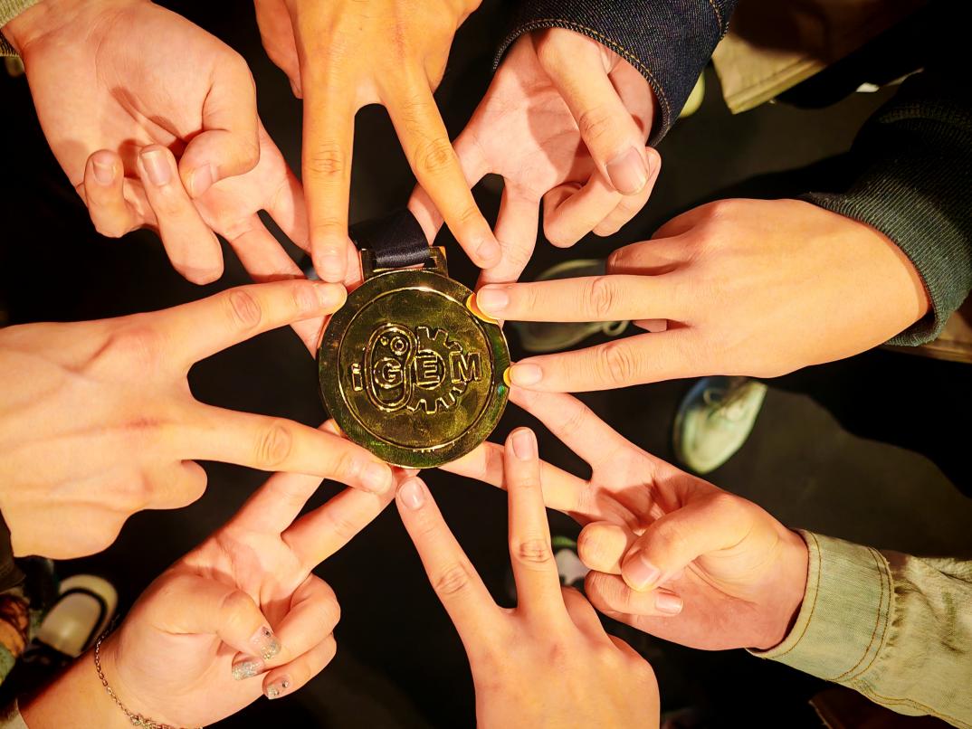 betway西汉姆联官网