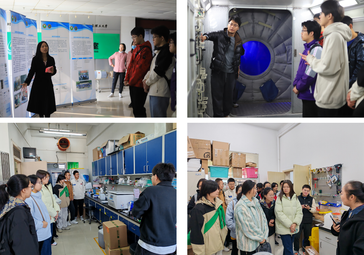 betway西汉姆联官网