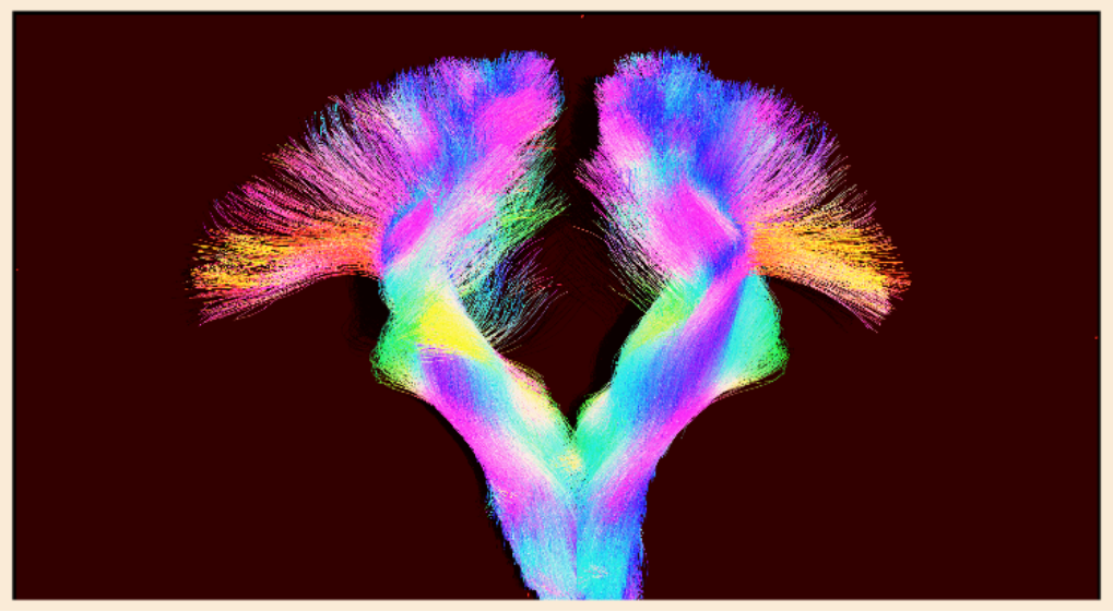 betway西汉姆联官网