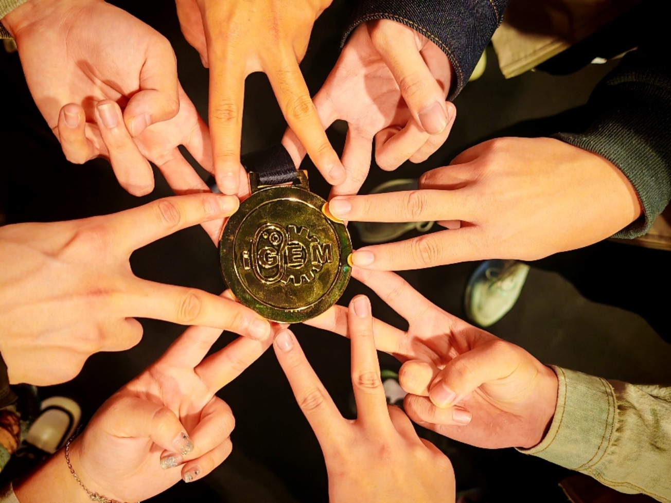 betway西汉姆联官网