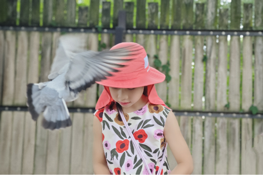 betway西汉姆联官网