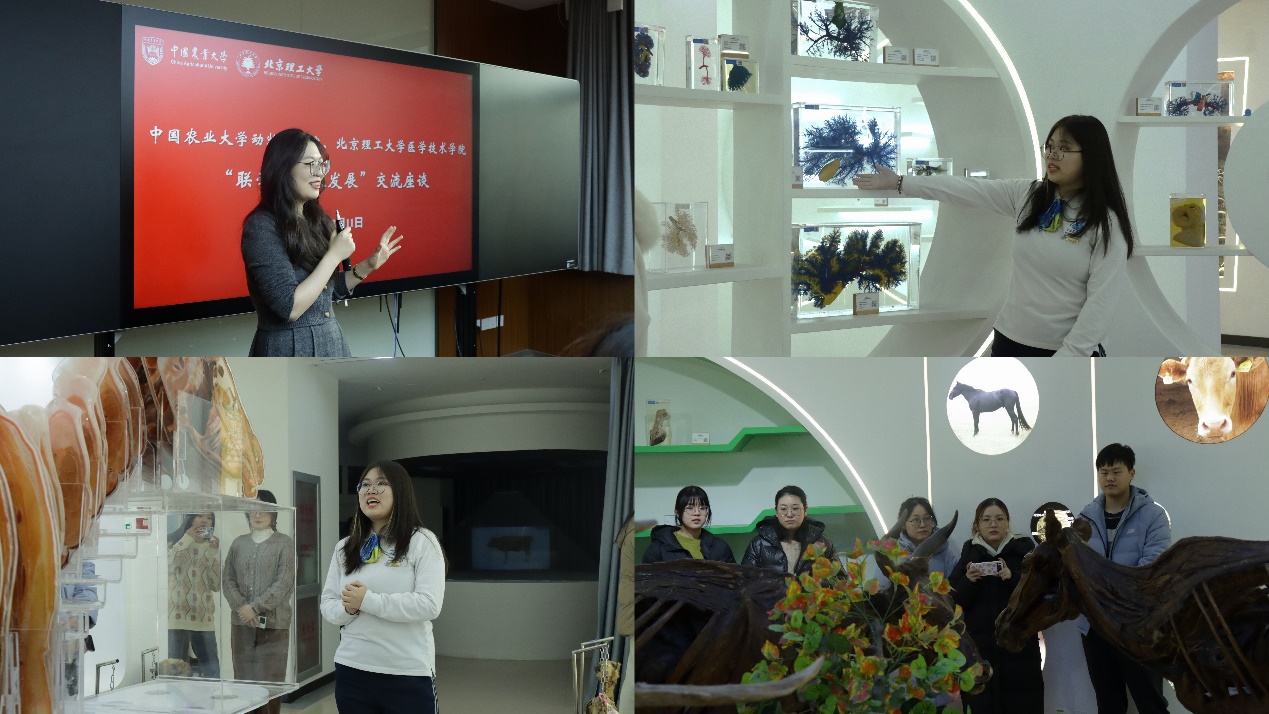 betway西汉姆联官网