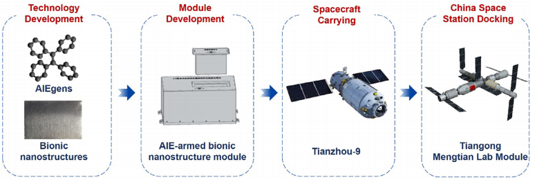 betway西汉姆联官网