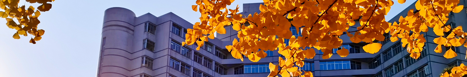 betway西汉姆联官网