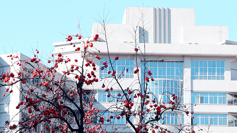 betway西汉姆联官网